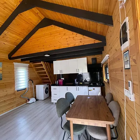 101 Gün Kiralık Havuzlu House Kayacık Tatil Evi *